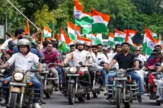 Untitled design (26)