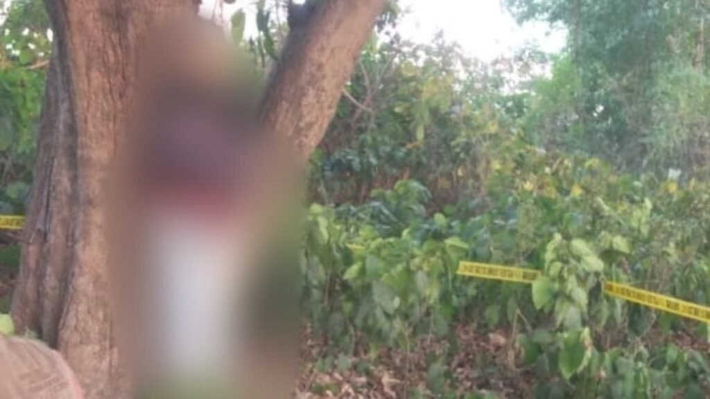 Untitled design (29)