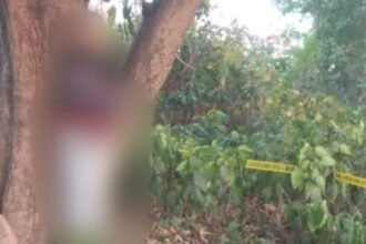 Untitled design (29)