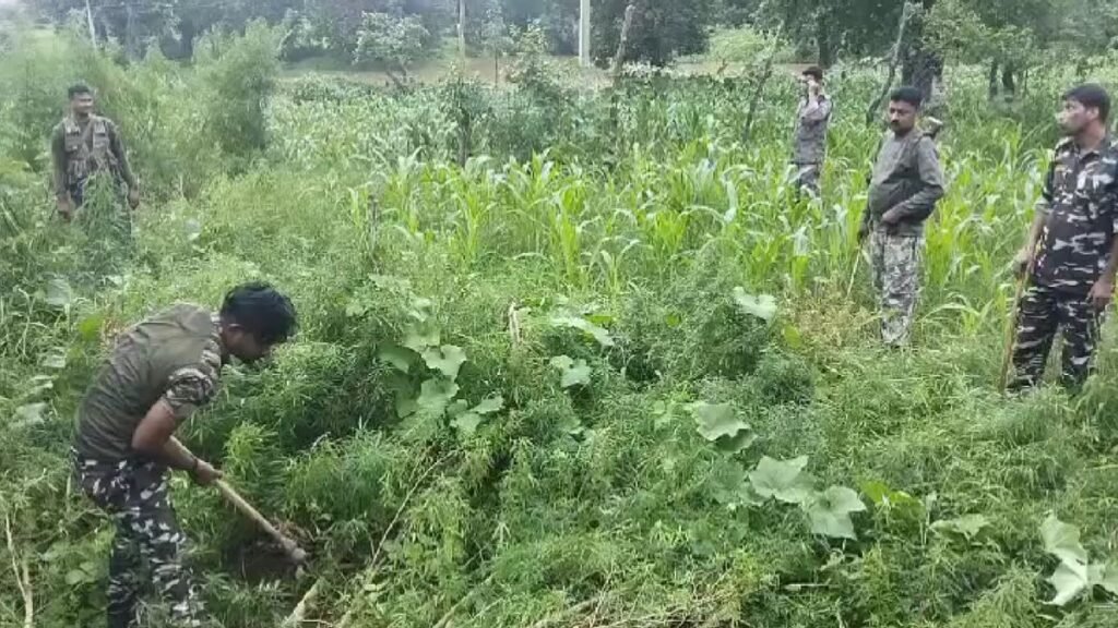 Jharkhand: गढ़वा पुलिस की बड़ी कार्यवाई! भारी मात्रा