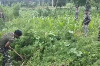 Jharkhand: गढ़वा पुलिस की बड़ी कार्यवाई! भारी मात्रा