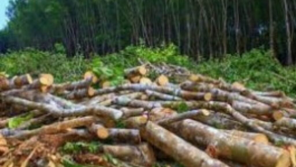 Untitled design (37)