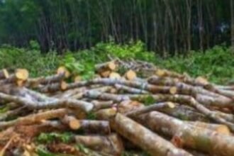 Untitled design (37)