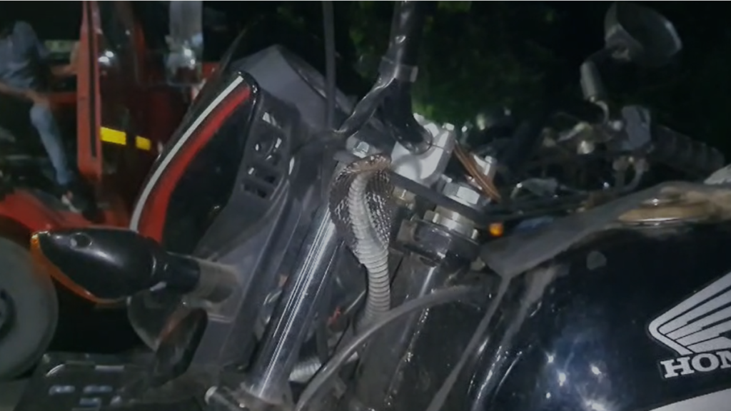 Untitled design (49)