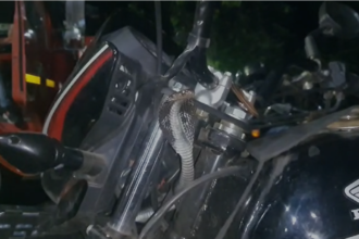 Untitled design (49)