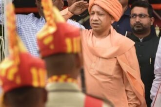 Untitled design (50)