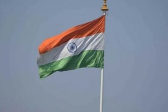 Untitled design (55)