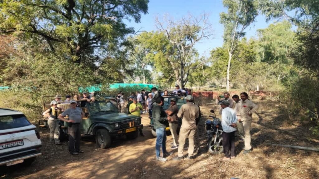 Untitled design (57)