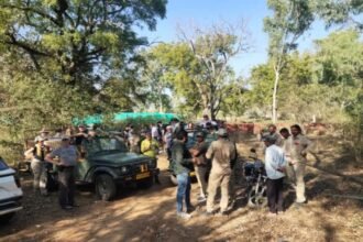 Untitled design (57)