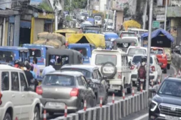 Untitled design (58)