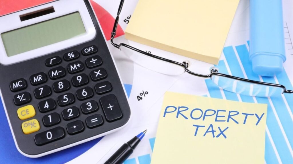 Untitled design (59)