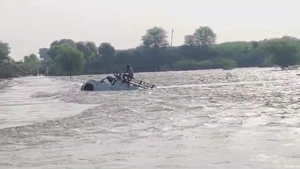 Untitled design (64)