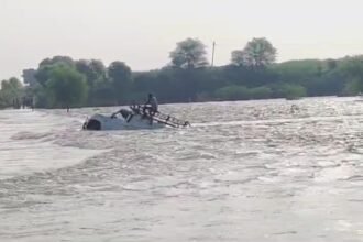 Untitled design (64)