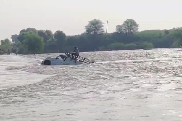 Untitled design (64)