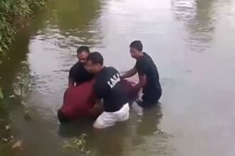 Untitled design (92)