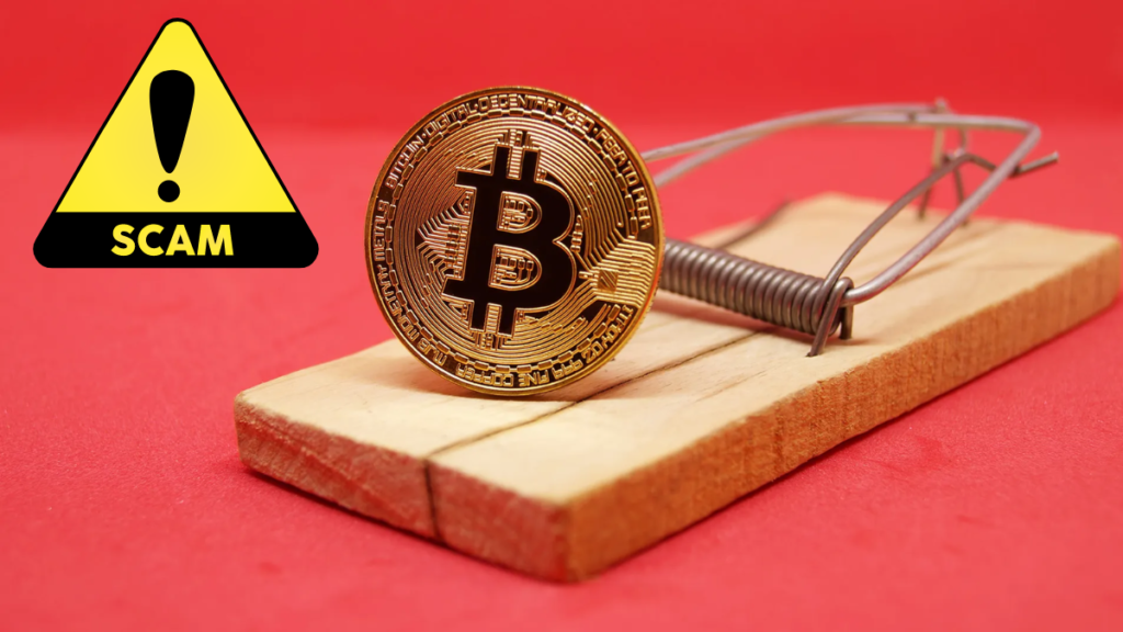 Xerina Cryptocurrency Fraud