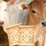 cow-kundali