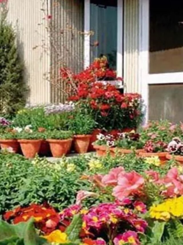 Untitled design - 2024-08-24T170626.910