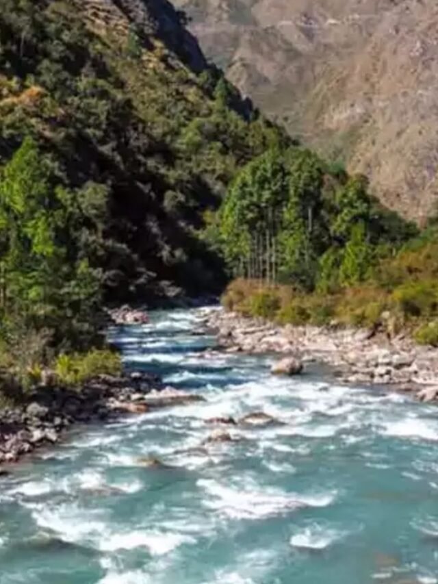 Untitled design - 2024-08-26T152558.701