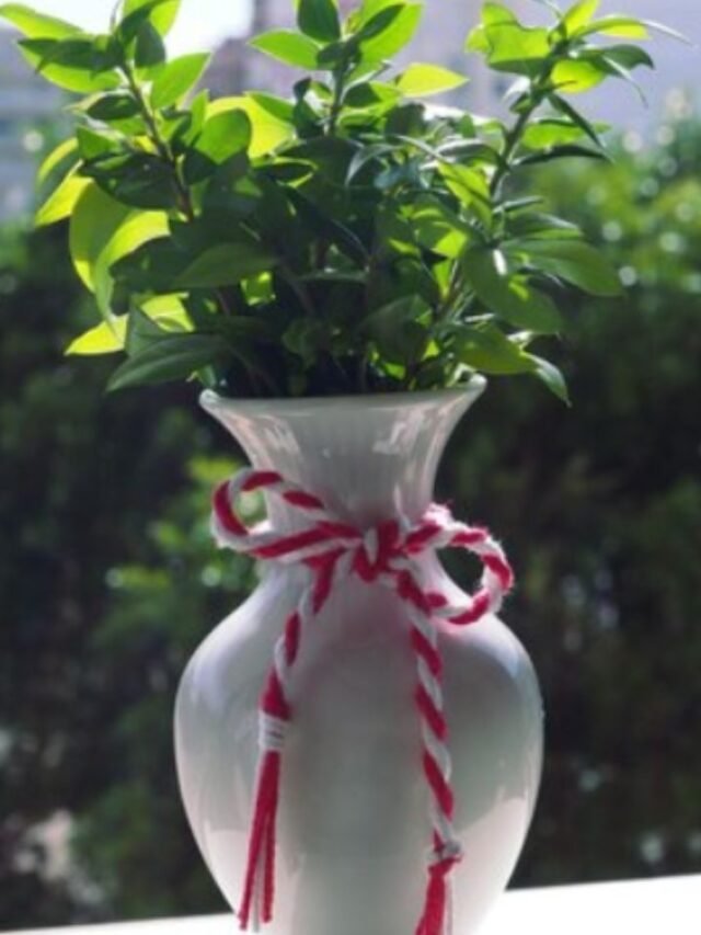 Untitled design - 2024-08-26T180631.293