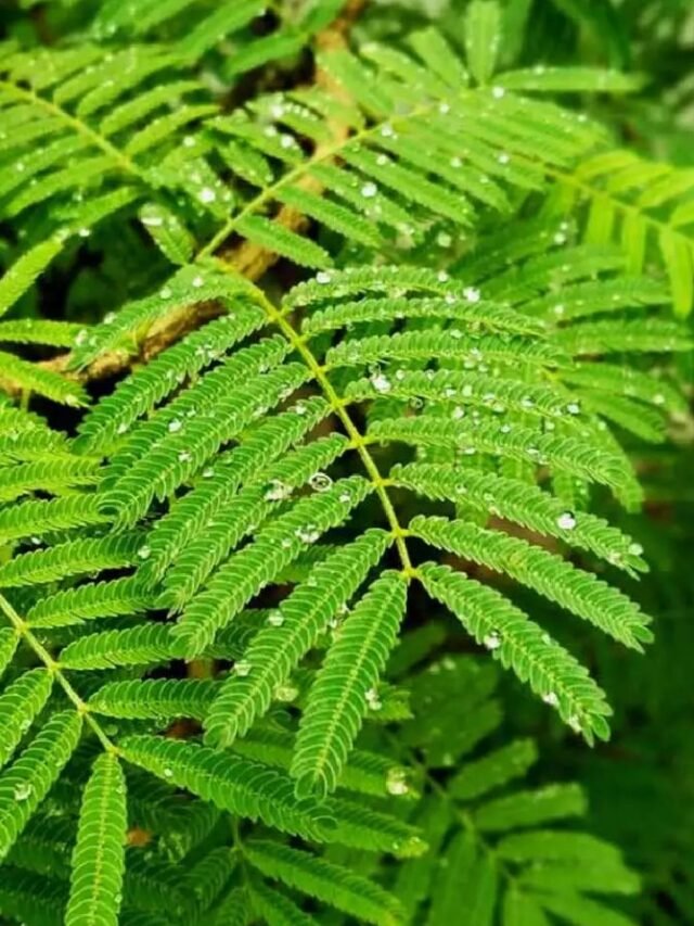 Untitled design (91)