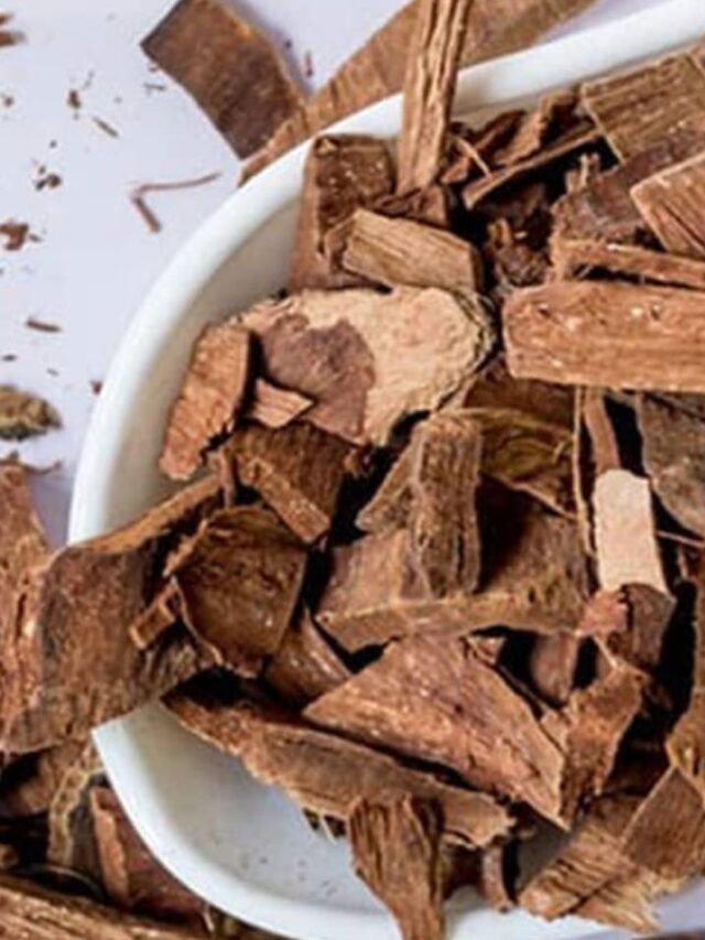 Benefits of Arjuna bark paste