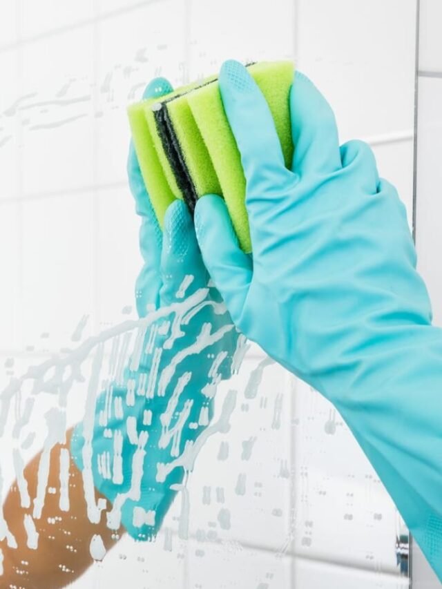 Tips to clean mirror or glass in hindi