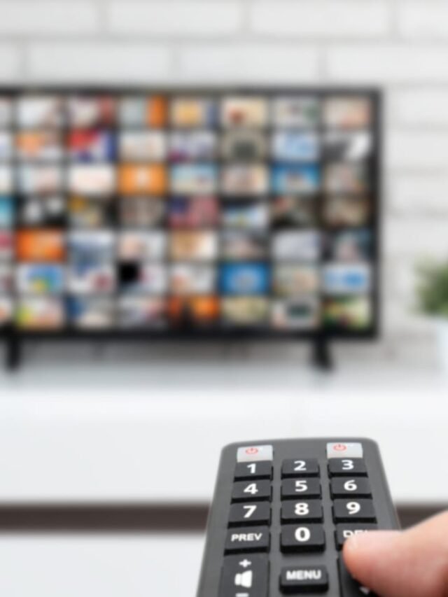 independence-day-2024-patriotic-movies-ott-platforms in hindi