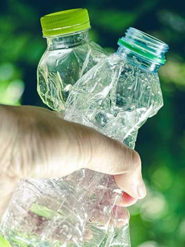 plastic-free-life-easy-tips