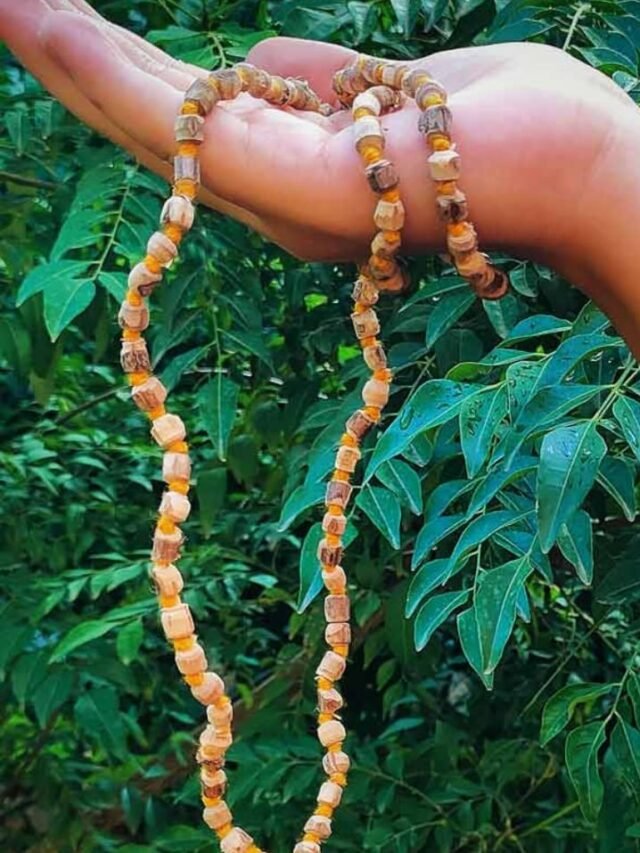 Benefits of Wearing Tulsi Kanthi Mala