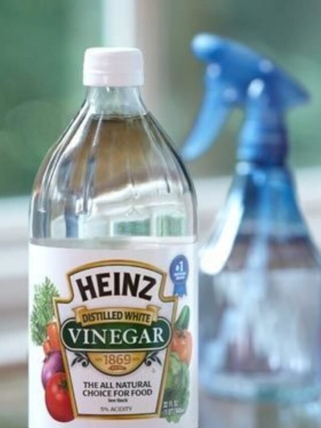 Use vinegar for household purposes in hindi