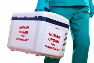 human-organ-Transportation