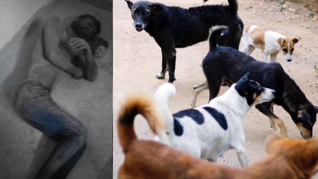 agra-youth-buried-alive-stray-dogs-rescue