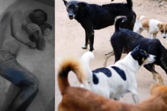 agra-youth-buried-alive-stray-dogs-rescue