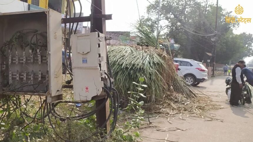 आलू की कीमतों को नियंत्रित (10)