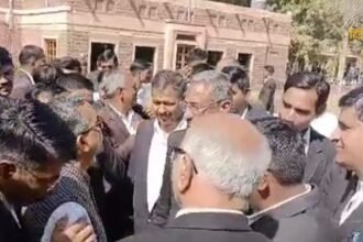 आलू की कीमतों को नियंत्रित (11)