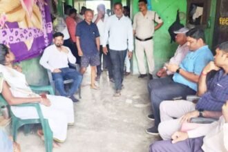 आलू की कीमतों को नियंत्रित (15)