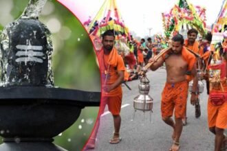 आलू की कीमतों को नियंत्रित (16)