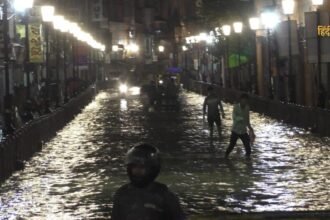 आलू की कीमतों को नियंत्रित 18 Akhilesh Yadav