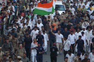 आलू की कीमतों को नियंत्रित (21)