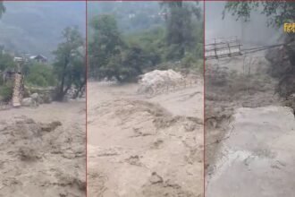 आलू की कीमतों को नियंत्रित (23)