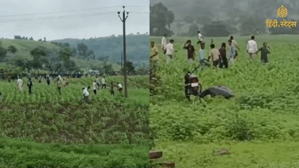 आलू की कीमतों को नियंत्रित (24)