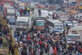 आलू की कीमतों को नियंत्रित (27)