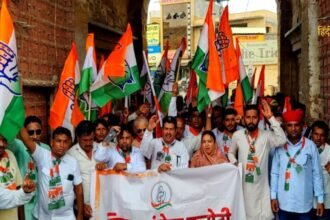 आलू की कीमतों को नियंत्रित (31)