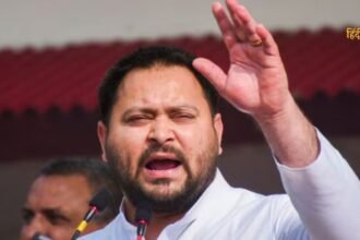 आलू की कीमतों को नियंत्रित (32)