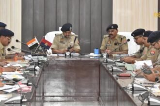 आलू की कीमतों को नियंत्रित (7)