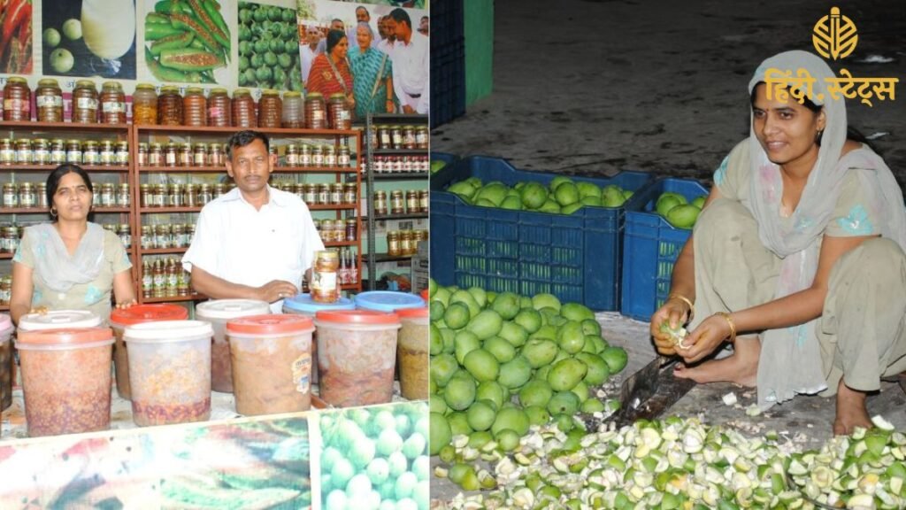 कृष्णा यादव की अचार साम्राज्य की कहानी