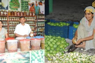 कृष्णा यादव की अचार साम्राज्य की कहानी