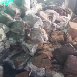 नरसिंहपुर