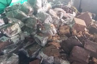 नरसिंहपुर